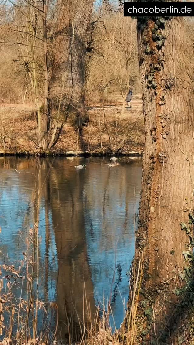 Sometimes life feels heavy.
Like everything is happening at once.

But you don’t have to solve everything today.
Just take it step by step.

One small win.
One deep breath.
One more try.

#berlinlife #lifestylevlog #smallsteps