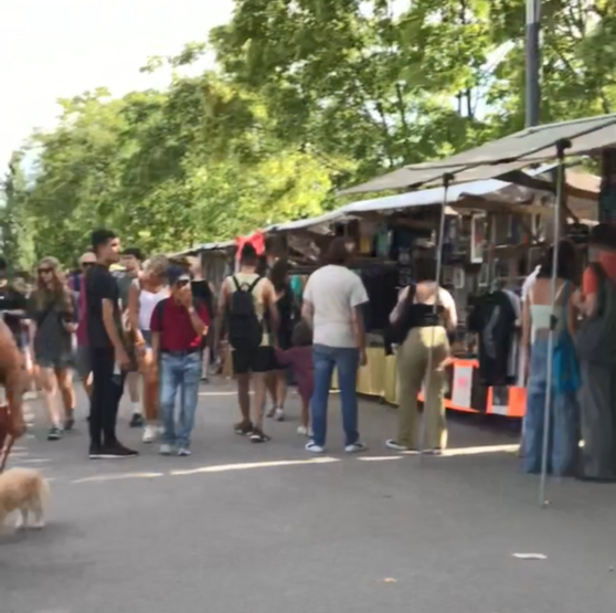 Exploring Mauerpark Flea Market: A Treasure Hunt in Berlin