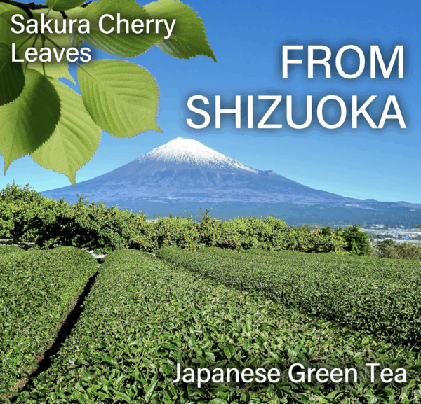 YAMASAN KYOTO UJI Matcha Green Tea Powder with Cherry Blossom Tea, Japanese Drinks, Japanese Food, Culinary Grade (100g) - Image 6
