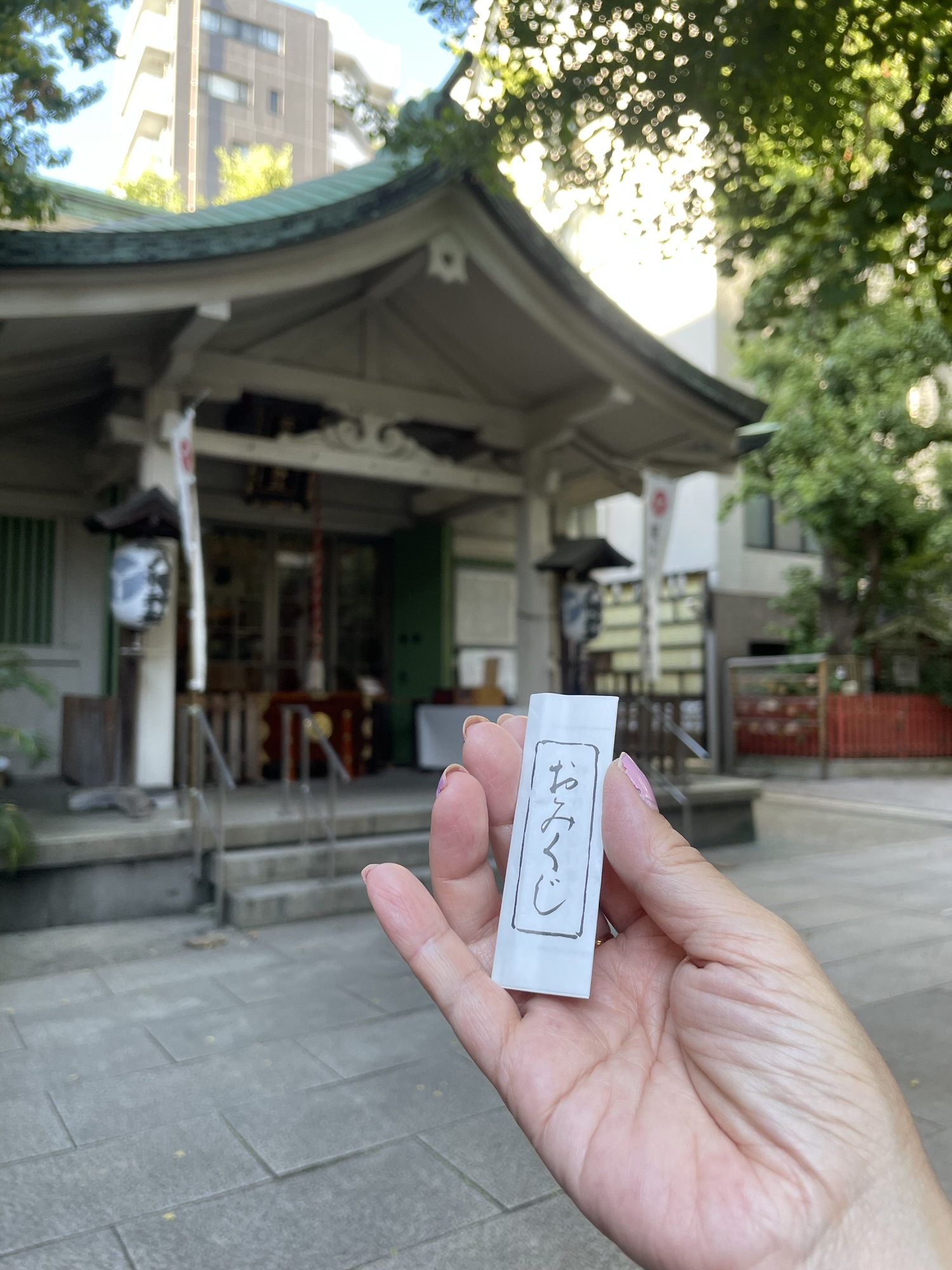 Wandering into Serenity: My First Encounter with Shinto Shrines & Omikuji
